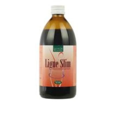 LIGNE DREN SLIM BIO 500ML