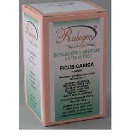 FICUS CARICA 60CPS