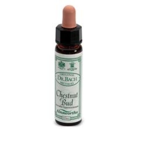 AINSWORTHS CHESTNUT BUD 10ML