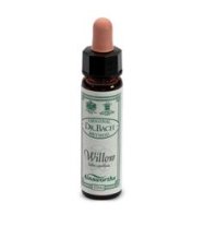 AINSWORTHS WILLOW 10ML