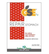 GSE REPAIR 45CPR