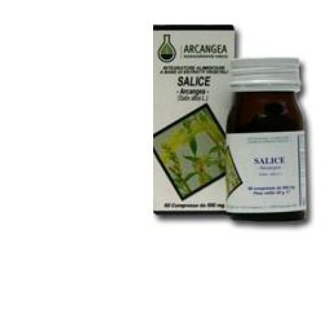 SALICE 60CPS 500MG ARCANGEA