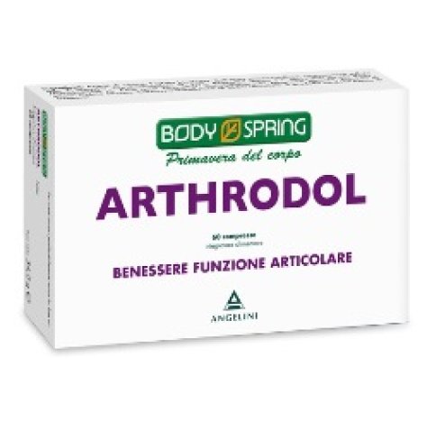 BS ARTHRODOL 60CPR BSP