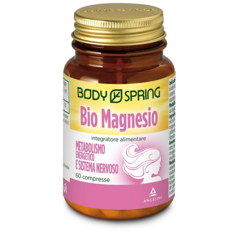 BS BIO MAGNESIO 60CPR 1100MG