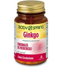 BS GINKGO 120MG 50CPS BSP
