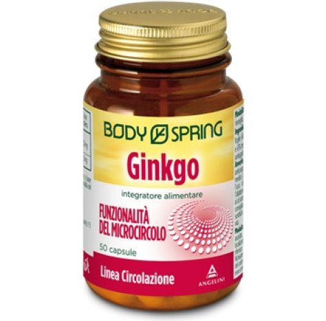 BS GINKGO 120MG 50CPS BSP