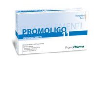 PROMOLIGO 11 MANG/RAME 20FL