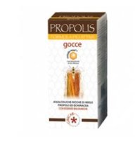 PROPOLIS E ANALCO BB 50ML GRIC