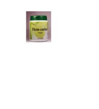 FICUS CARICA 60CPS 20,5G PHYTOIT