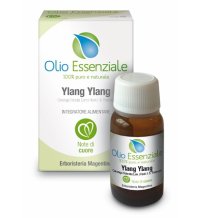 YLANG YLANG OLIO ESS 10ML