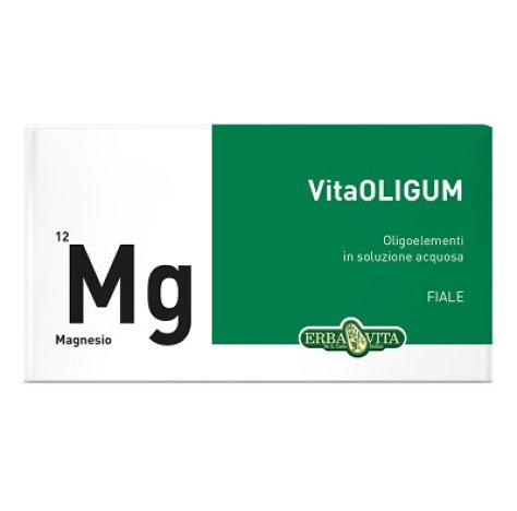 VITAOLIGUM MAGNESIO 20F ERBAVI