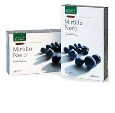 MIRTILLO NERO BIO 20AB 15ML