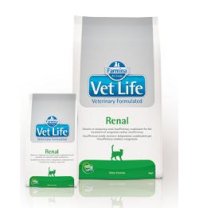 VET LIFE CAT RENAL 400 GR