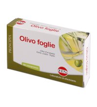 OLIVO FOGLIE ESTR SEC 60CPR