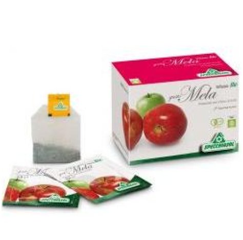 INFUSO BIO FRUTTAMELA 20F SPECCH