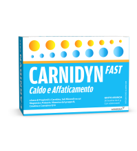 ALFASIGMA Spa Carnidyn fast 20 bustine