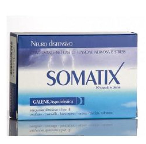 SOMATIX INTEG 30 CPS