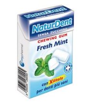 Naturdent Fresh Mint