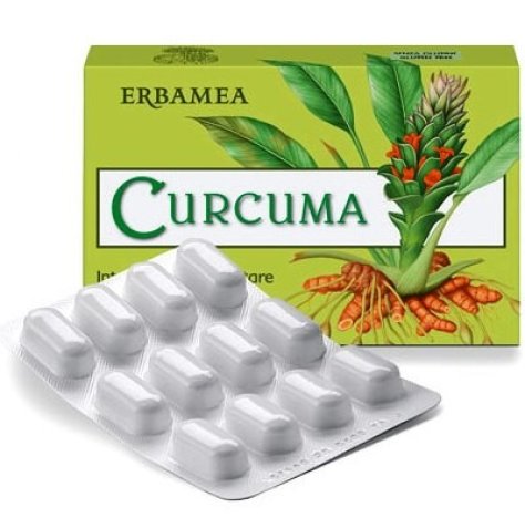 ERBAMEA SRL Curcuma 24 capsule vegetali