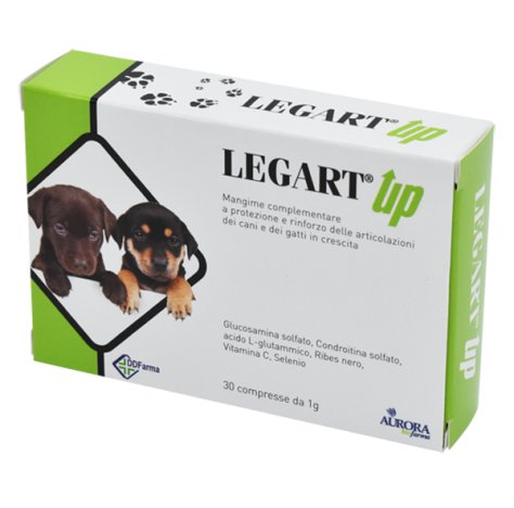 LEGART UP 30CPR