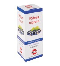 RIBES NIGRUM MG 100ML GTT KOS