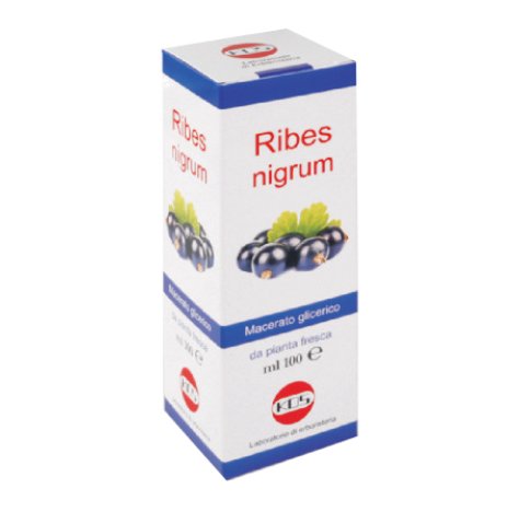 RIBES NIGRUM MG 100ML GTT KOS