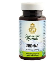 SINOMAP MA290 CPR 30G