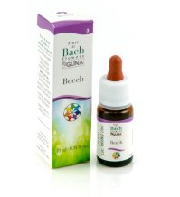 BEECH  GTT 10ML GUNA