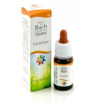 GENTIAN 12 GTT 10ML BACH GUNA