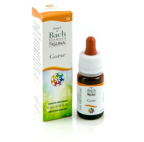 GORSE 13 10ML GTT BACH GUNA