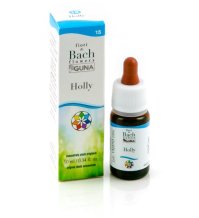 HOLLY 15 GTT 10ML BACH GUNA