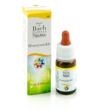 HONEYSUCKLE 16 10ML GTT BACHGUNA