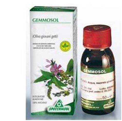 GEMMOSOL 15 CARPINO 50ML MG