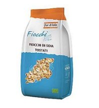 FdL Fiocchi Soja Tostati 500g