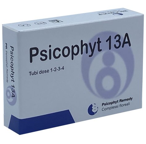 PSICOPHYT REMEDY 13A TB/D GR.