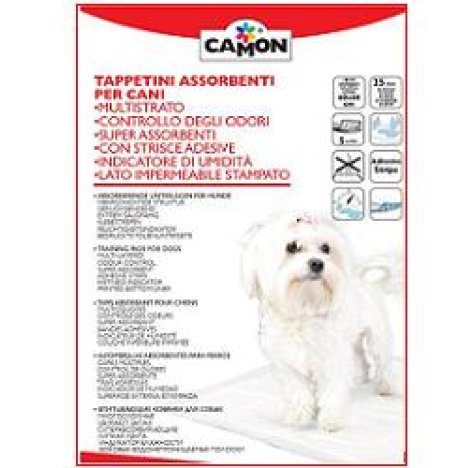TAPPETINO ASS CANI 60X60 25PZ