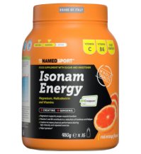 ISONAM ENERGY ORANGE POLV 480G