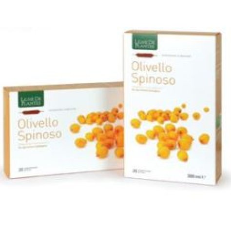 OLIVELLO SPINOSO BIO 20AB