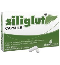 SILIGLUT 20 capsule 7,5g