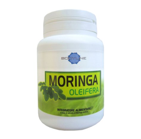 MORINGA OLEIFERA 60CPS BODYLINE