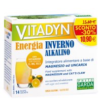 VITADYN ENERGIA INVERNO 14BUST