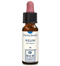 WILLOW ORIGINAL 10ML GTT