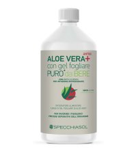 SUCCO ALOEVERA+ ALOE/MIRT R1LT