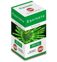 EQUISETO 90CPR 500MG