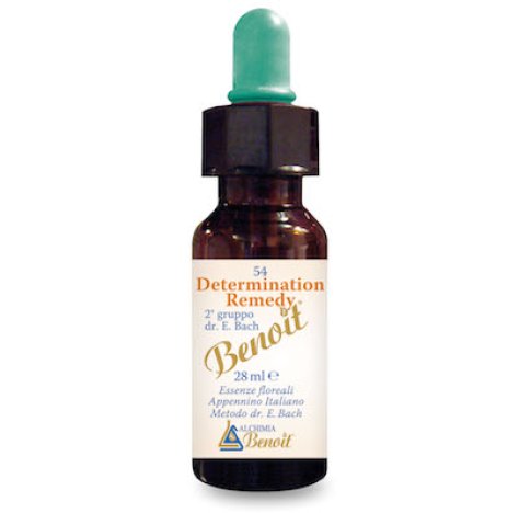 DETERMINATION REMEDY 28ML