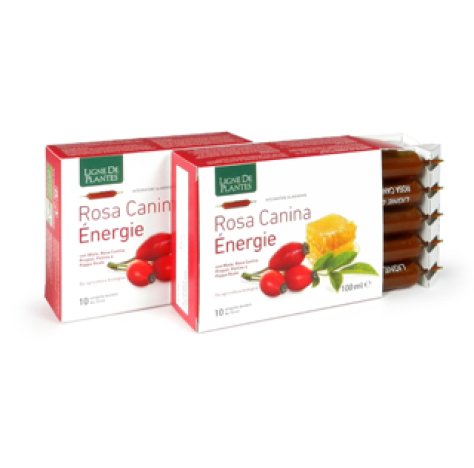 ROSA CANINA ENERGIE BIO 10AB