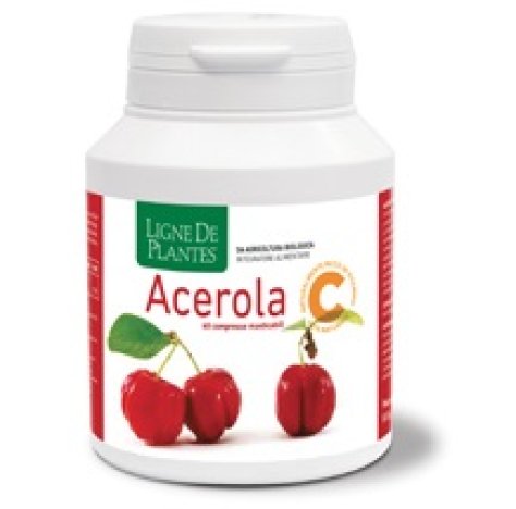 ACEROLA BIO 60CPR MASTICABILI<