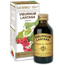 VIBURNO LIQ ANALCOLICO 100ML