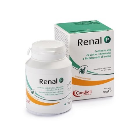 RENAL P 80G