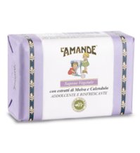 LAMANDE SAP VEG MALVA CALEND